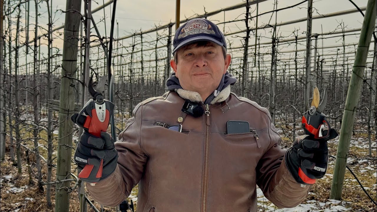 Sekator elektryczny, który pracuje w sadzie 20 lat! Zdaniem Wojtka Kota numer jeden - Electrocoup