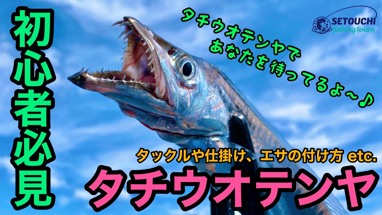 【必見！】🔰はじめてのタチウオテンヤ🔰の方向けに色々と説明します‼︎ in 岡山県宇野港発 瀬戸内海【タチウオ】