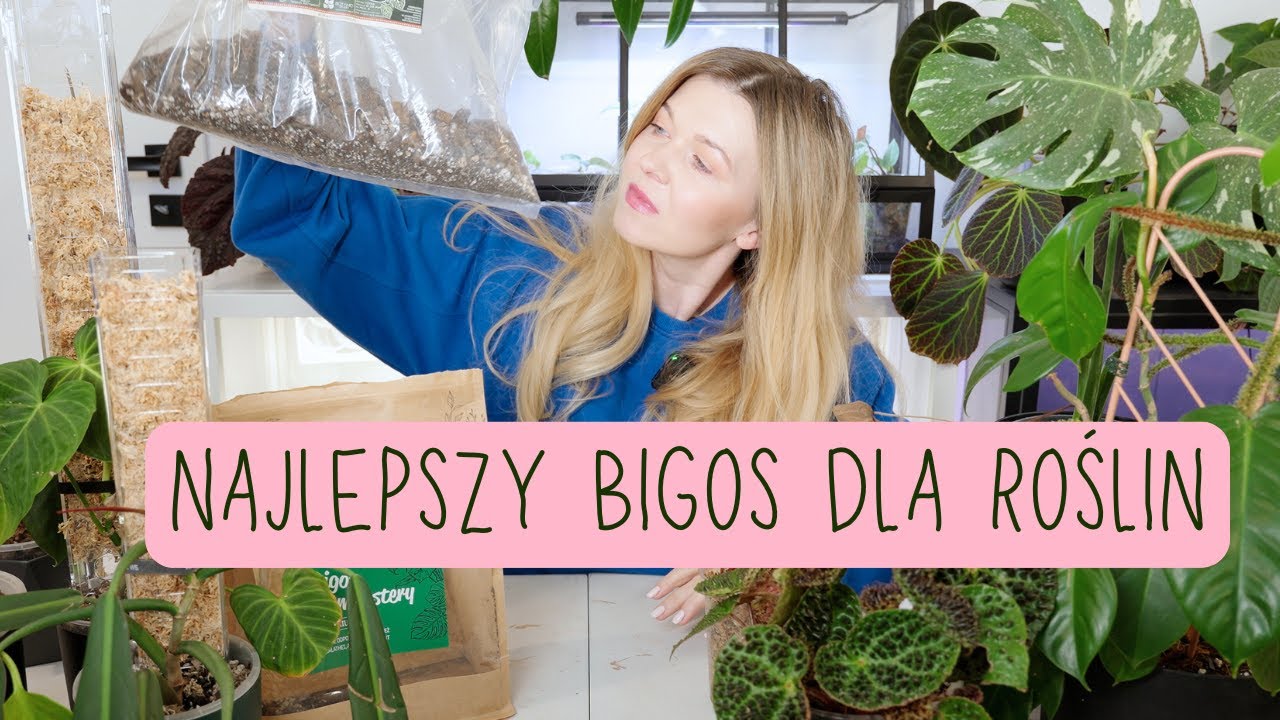 Który bigos dla roślin jest najlepszy?