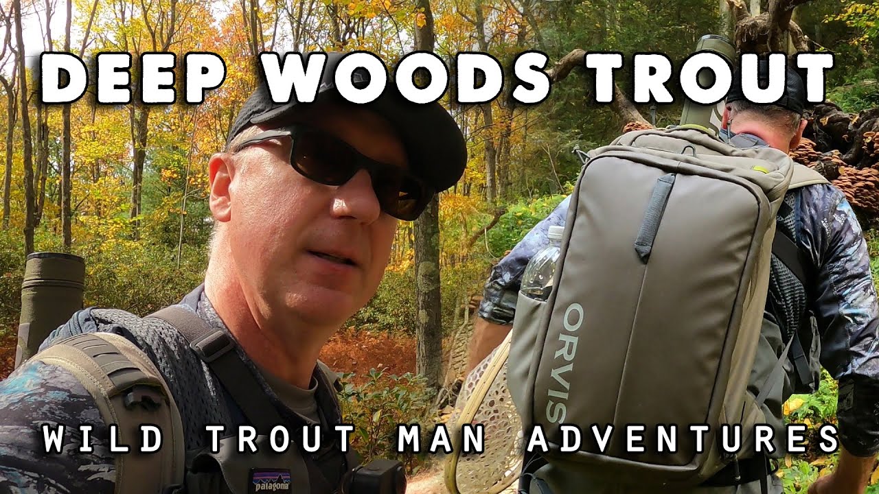 Ultimate Blue Line Fly Fishing for Deep Woods Trout