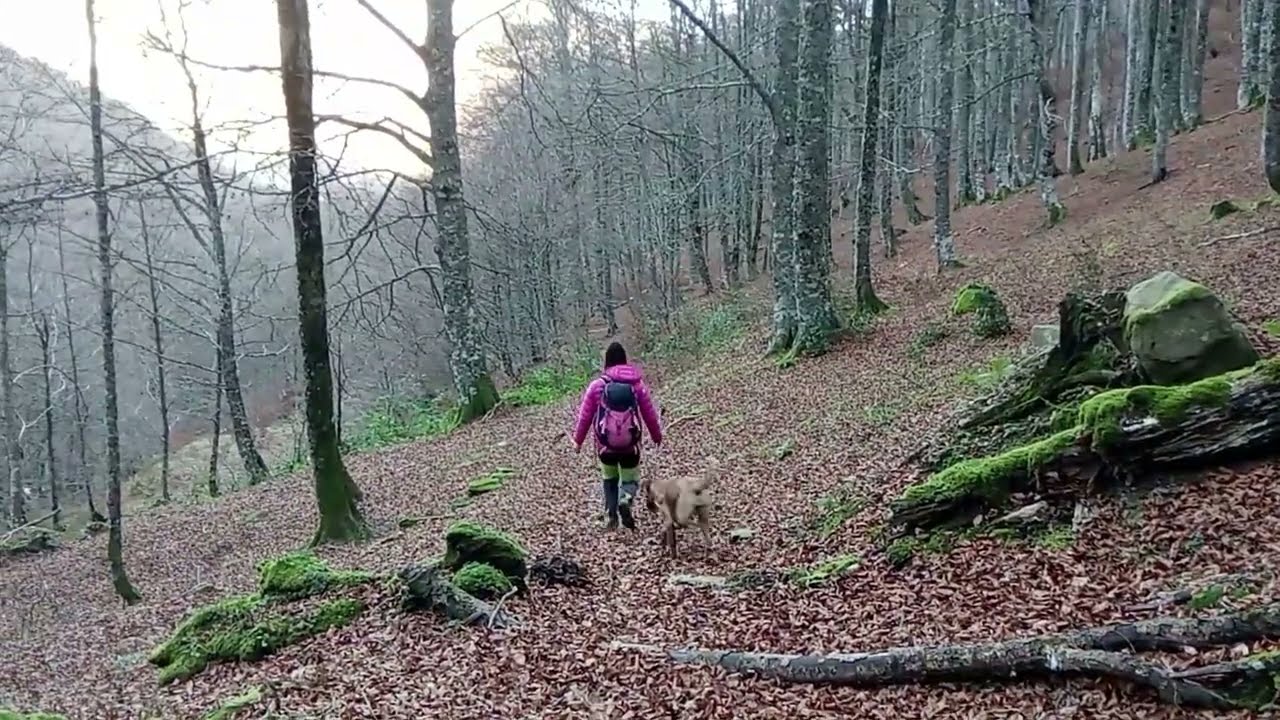 Pista Rey Wamba, Canto del Oso , Peña del Viento. Parque Natural de Redes