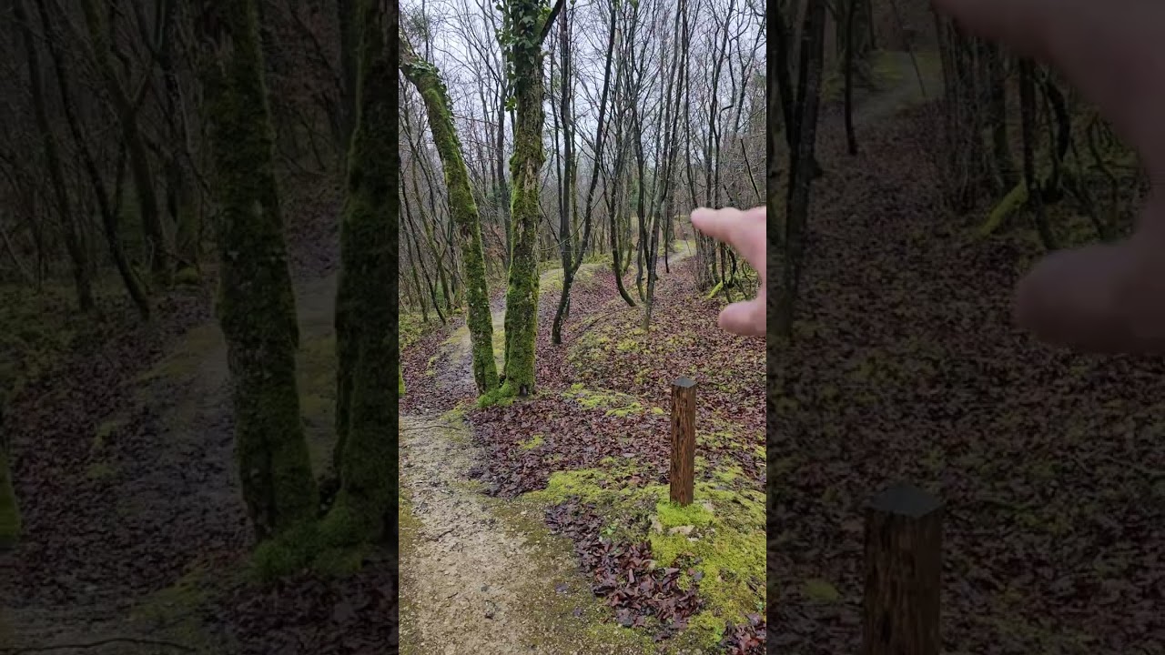 Walking the Verdun wilderness exploring fortifications DV3 an DV2 near Fort Vaux