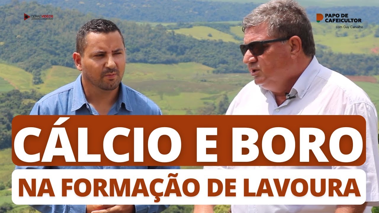 Cálcio e boro fundamentais na formação do cafeeiro