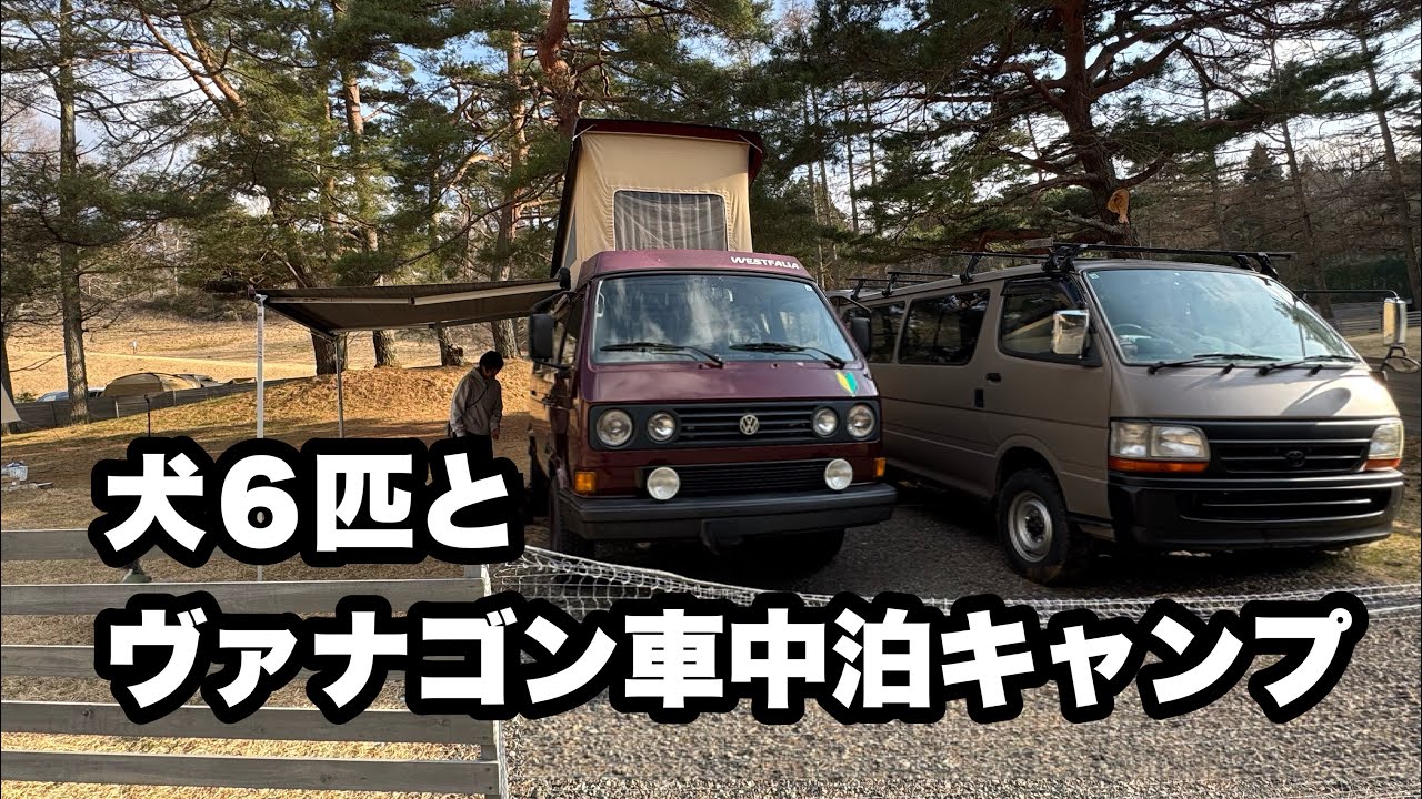 犬６匹とヴァナゴン車中泊キャンプ・おばさんキャンパーついに車中泊へ　@Volkswagen