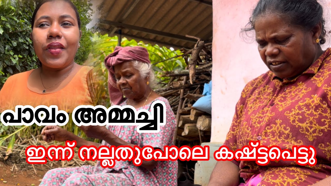 അമ്മച്ചി മടുത്തു പോയി #viralvideo #trending #lijisujith #vlog #idukki #rajakkad 