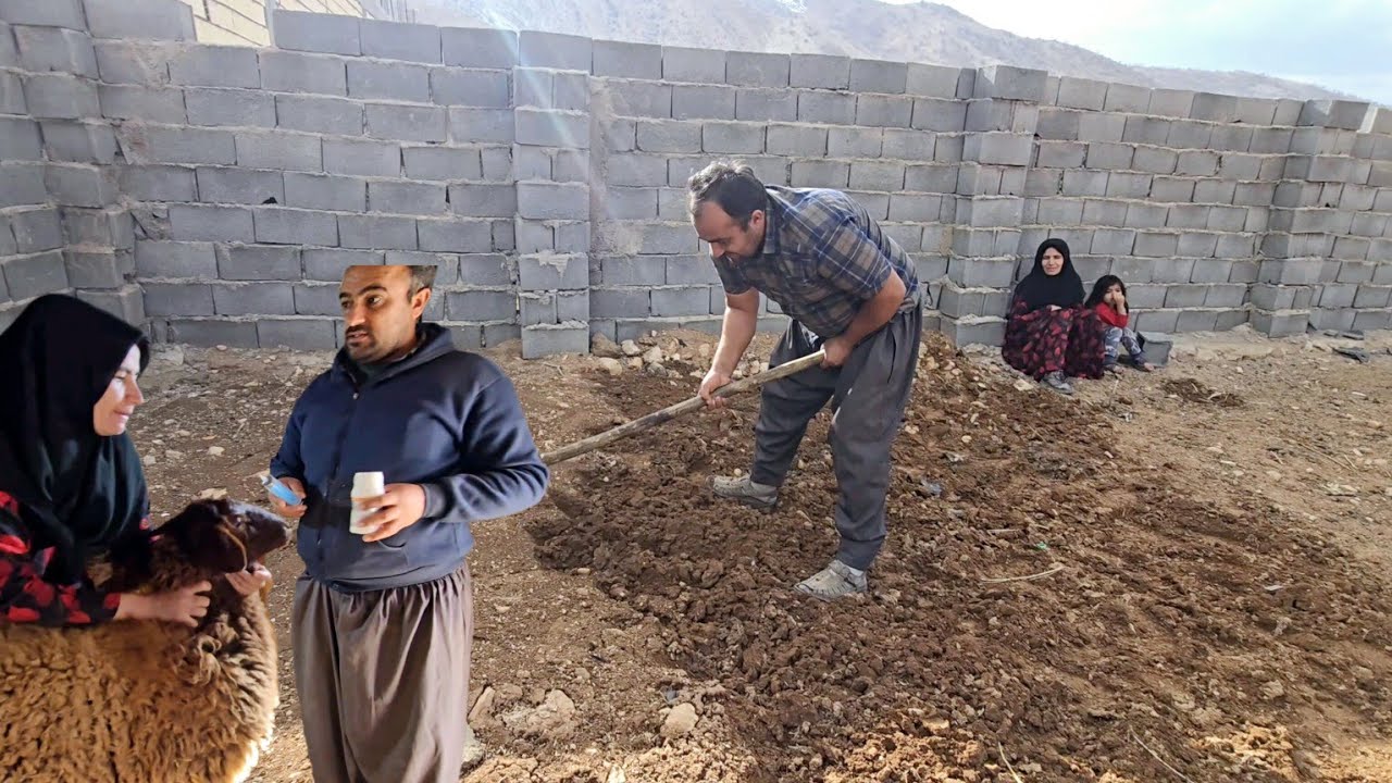 A great move: Khosrow and Sakineh's decision to plow and plant crops