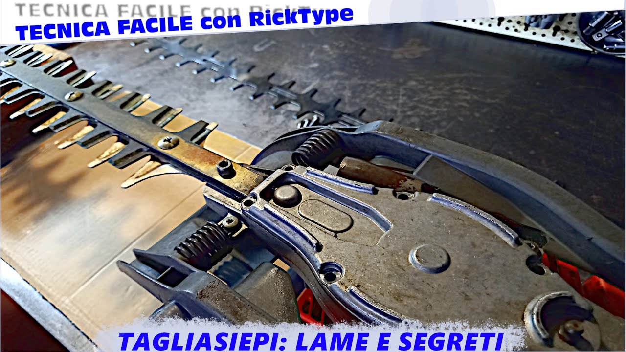 Sostituzione lama tagliasiepi con smontaggio cassa cinematismo, OleoMac Efco Dynamac 
