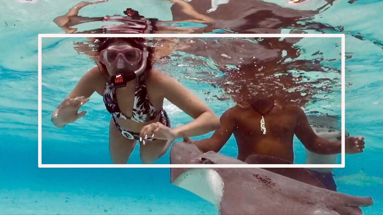 BORA BORA | Shark, Stingray & Snorkel Tour