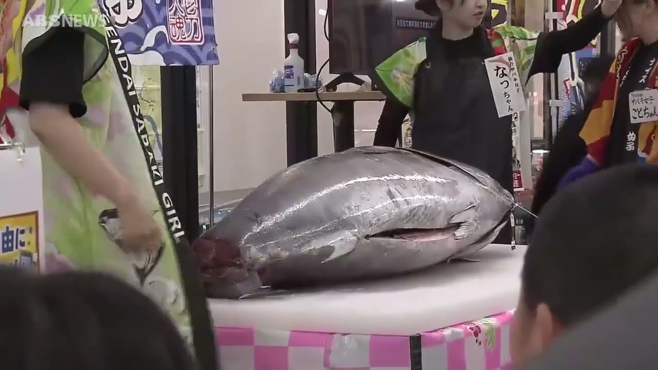 秋田市で『大間マグロ回解体ショー』サバキ女子で大盛況