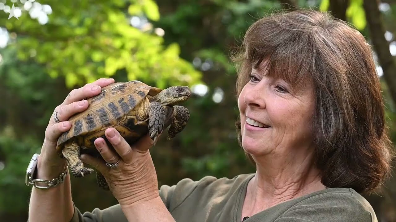 Kansas Woman Found Pet Russian Tortoise Missing For 9 Months