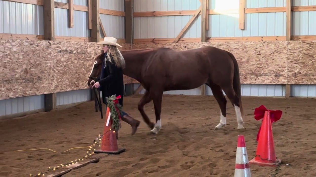 In hand trail class