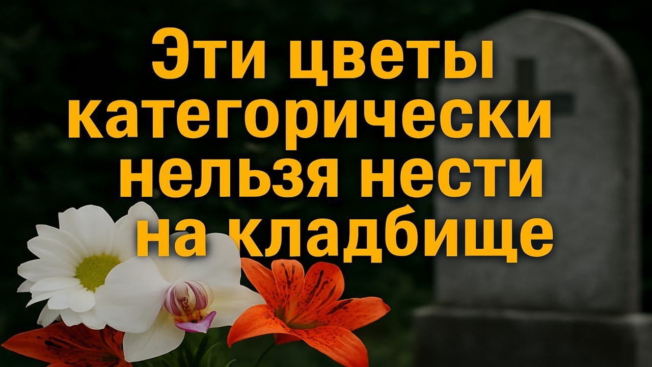 Эти цветы категорически нельзя нести на кладбище — запрет, о котором забывают. Приметы и традиции