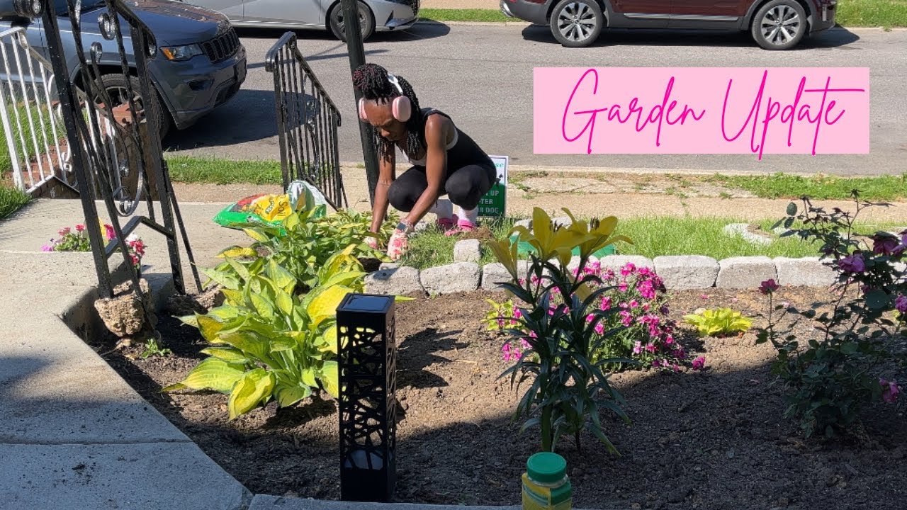 Garden Update | Transplanting Plants + Landscape Edging + Planting New Lilies