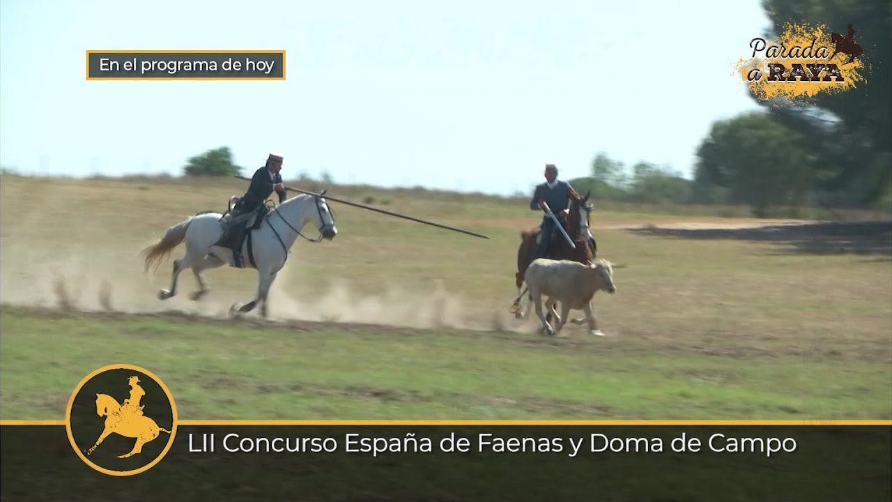 Parada a Raya 238