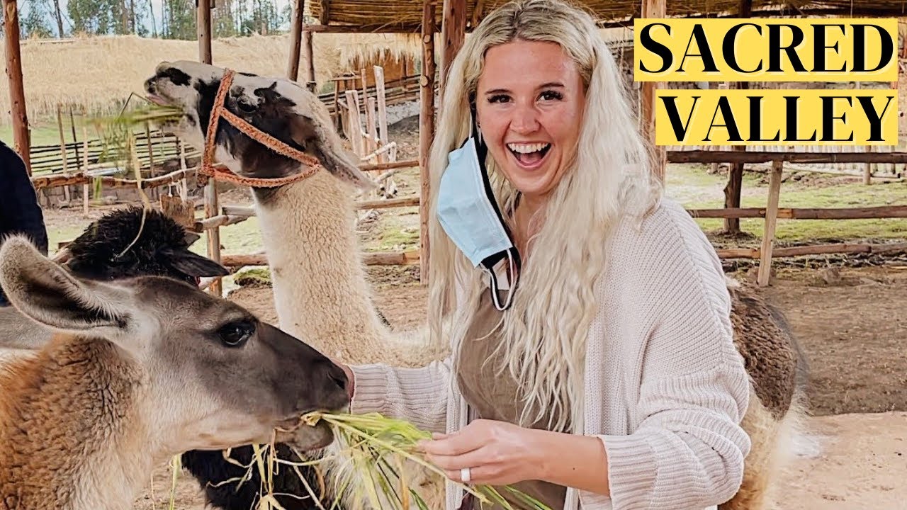 FLYING ACROSS PERU FOR ALPACAS!
