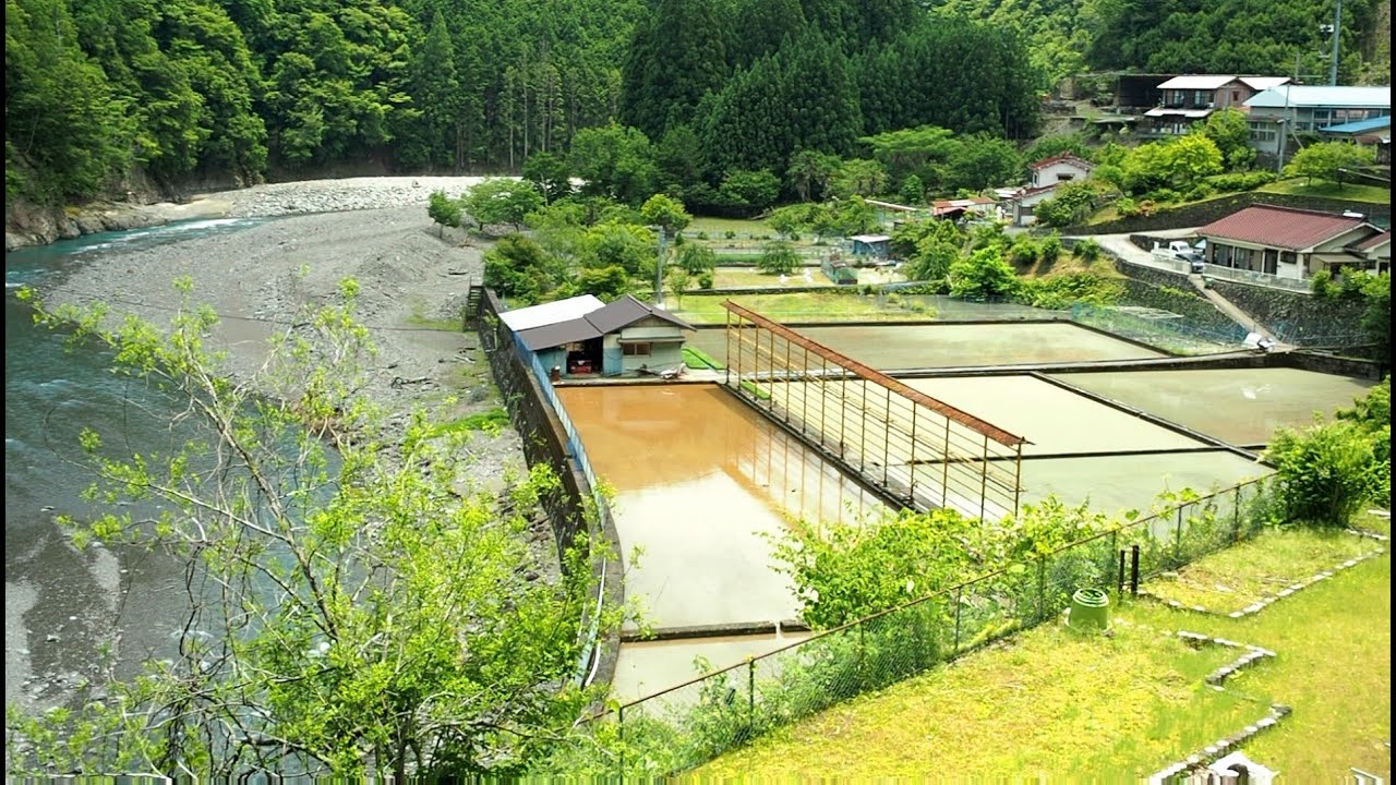 コンビニから55キロの五百瀬集落【限界集落の風景】（十津川村）Totsukawa Village Imoze, Nara, Japanese Village