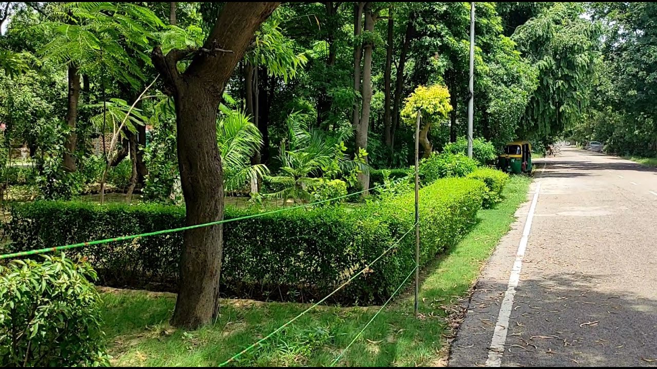 Sigma 1st-Beautiful Lush Green Sector Of Greater Noida