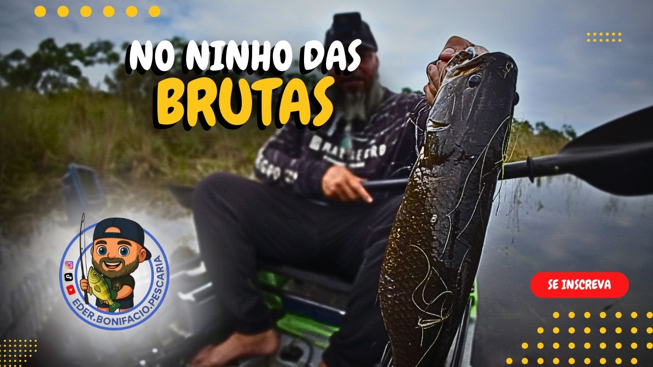 VOLTEI AO NINHO DAS TRAÍRAS E ELAS ESTAVAM ALVOROÇADAS - Pescaria ultralight