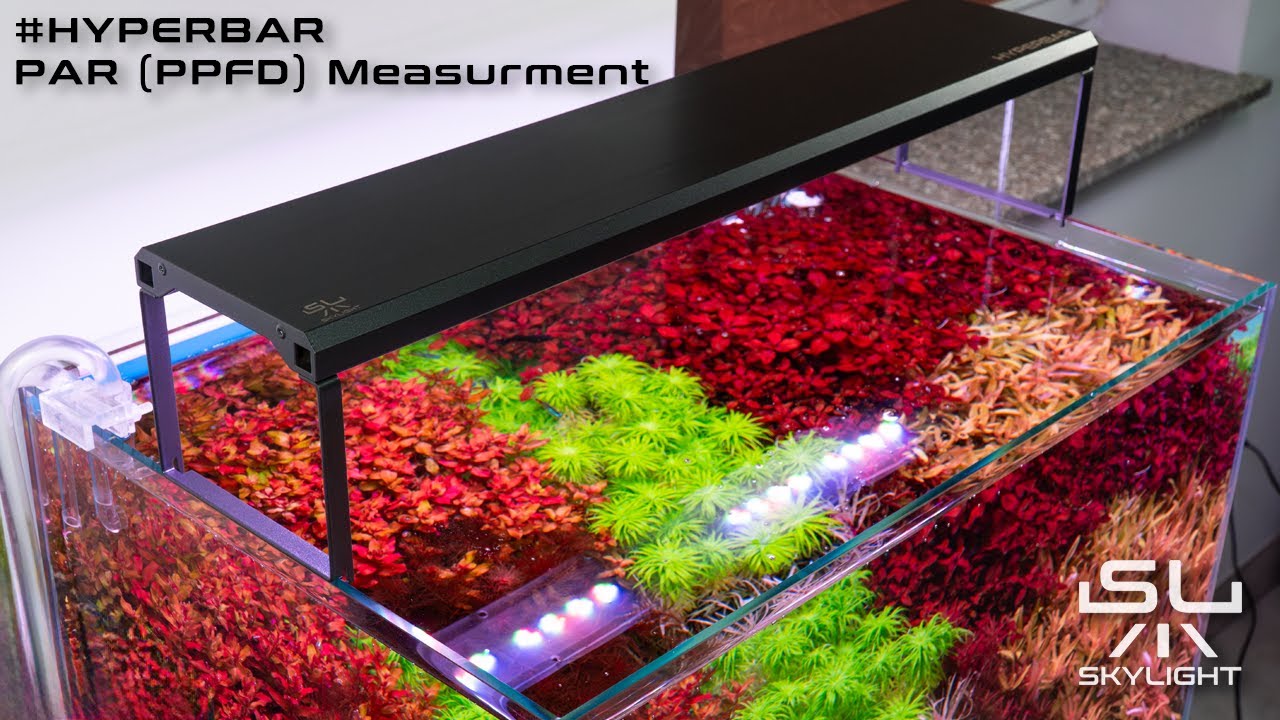 SKYLIGHT HYPERBAR LED LAMP PPFD (PAR) MEASURMENT