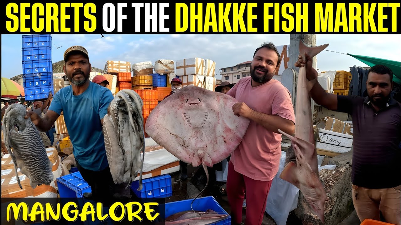 Meeting Mangalore's Fishermen: Secrets of the Dhakke Fish Market