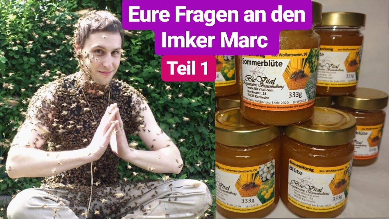 Bienen, Honig und Insektensterben - Imker Marc packt aus ! Teil 1/2