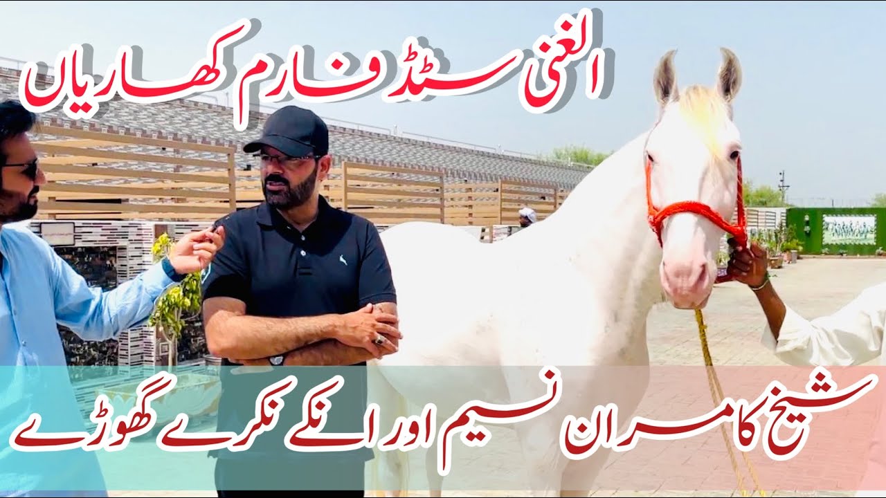Very Beautiful Stud Farm in Khariaan || Al-Ghani Tent Pegging Club || Sheikh Kamran Naseem