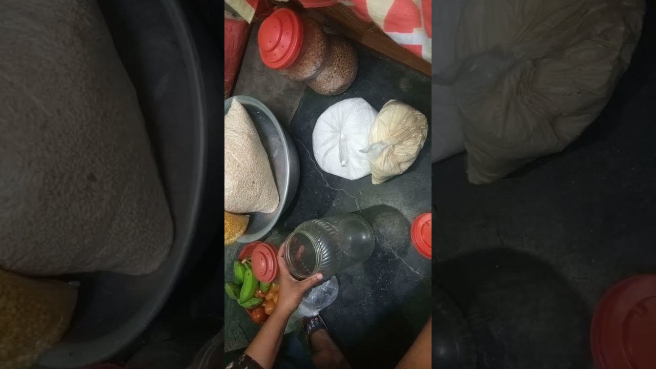  বাজার থেকে কি কি নিয়ে আসলাম 