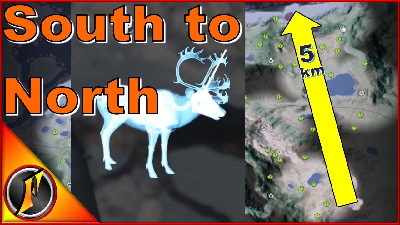 Охота с юга на север в 5 км | theHunter: Call of the Wild 2018