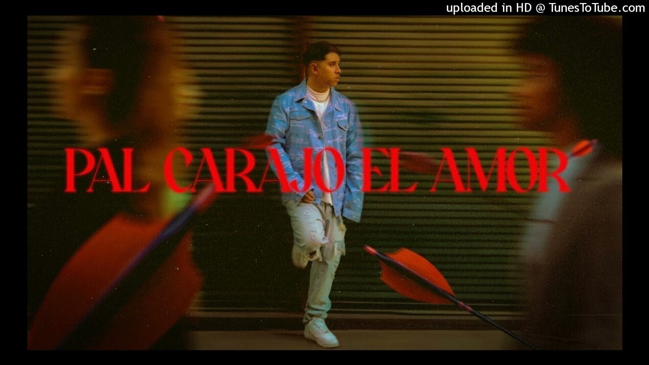 FMK - Pal Carajo el Amor (Acapella Edit)