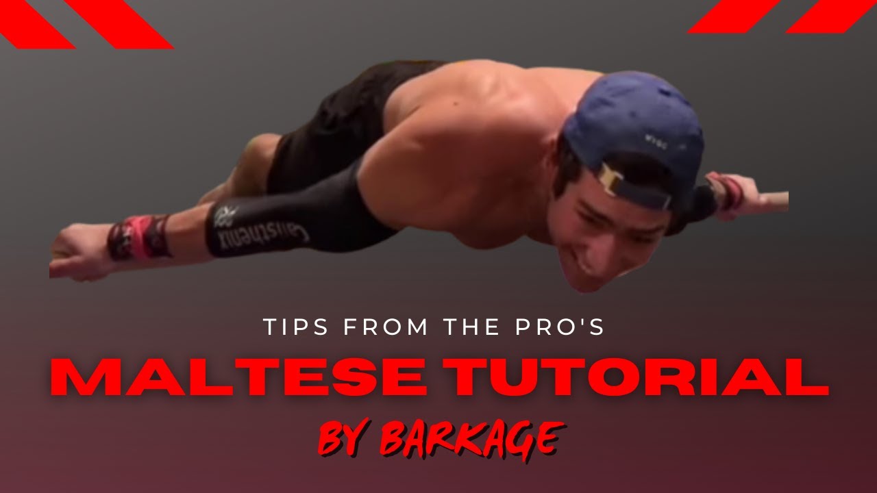 Maltese Tutorial by Barkage - Tips from the Pro's STREETWORKOUT EPISODE 4