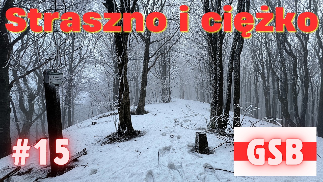 Niedźwiedzie grasują | GSB zimą solo (Dzień 15): Komańcza &ndash; Bac&oacute;wka pod Honem w Cisnej