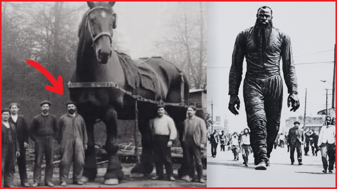 🔴Shocking Photos Of Giant Objects You Won’t Believe Actually Exist