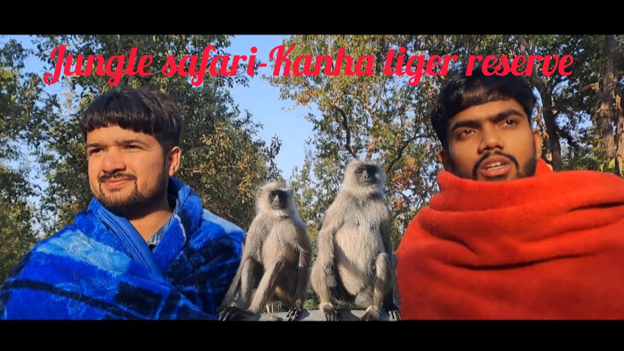 Kanha tiger reserve🐅Jungle safari kar li aaj