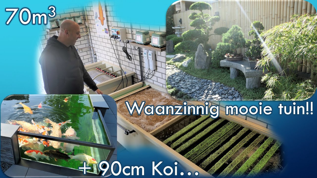 Koi vijver bezoek: Het oosterse Koiparadijs van William!