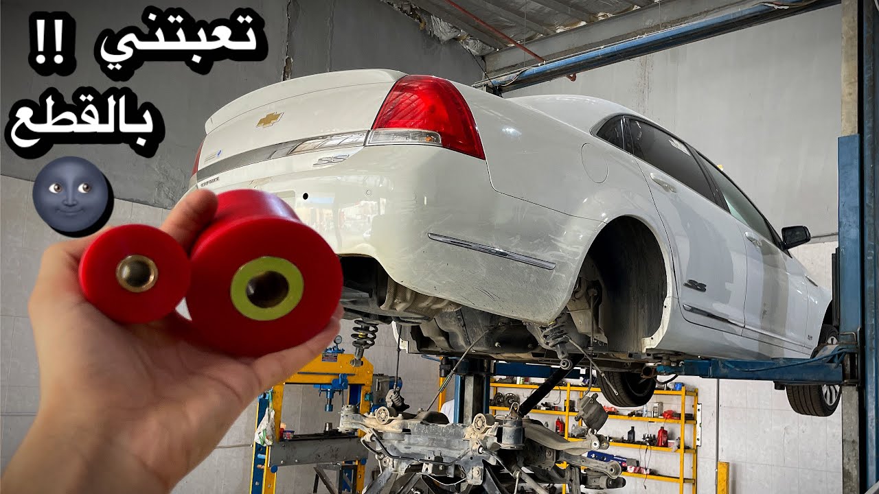 تجديد عضلات الكابريس الخلفية 🐑🇺🇸 + شريت جلد عضلات خلفية رياضية لكن !!🏎️