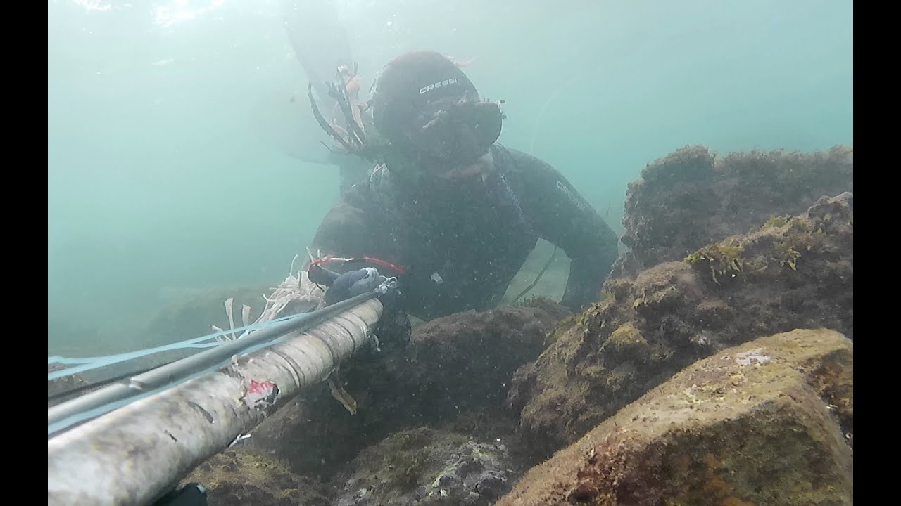 Pescasub test giacca Cressi Tracina 7mm e cattura salva cappotto (cressi tracina wetsuit test)