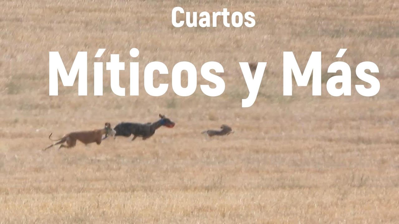 Cuartos Club Míticos y Más en las Tramadas, Octubre 2025
