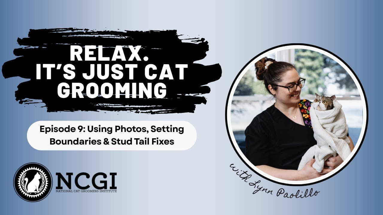 Using Photos, Setting Boundaries & Stud Tail Fixes | Relax. It’s Just Cat Grooming Episode 9