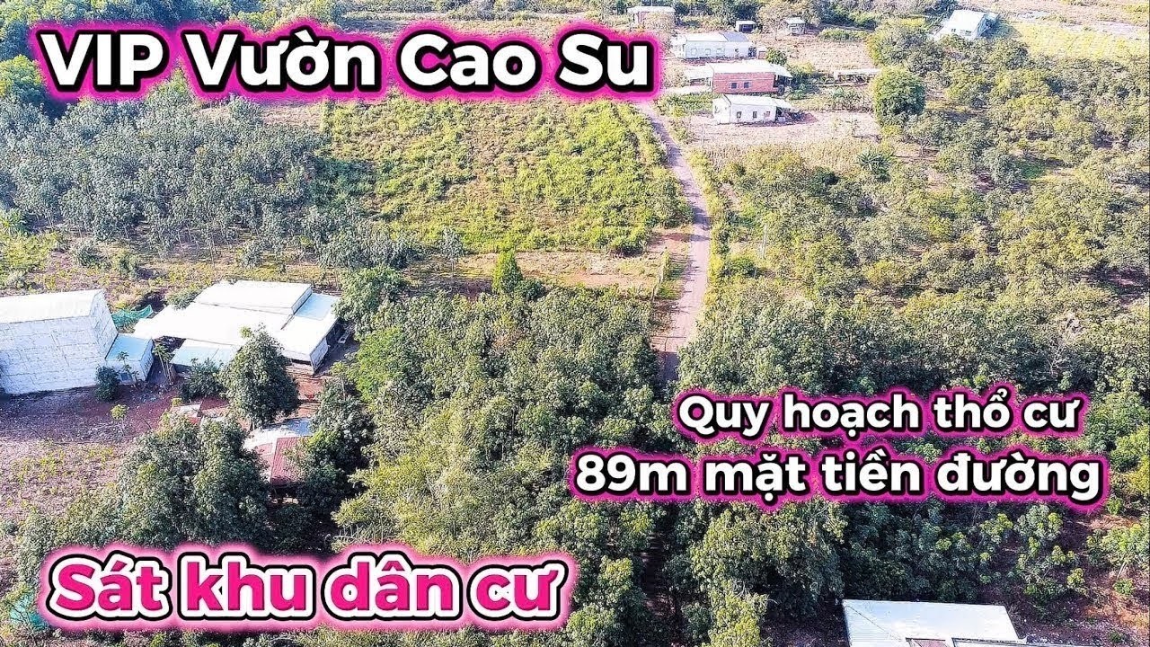Sốc Thật! Chỉ 121 Triệu/1000m² – Vườn Cao Su 89m Mặt Tiền View Suối Đẹp, Quy hoạch thổ cư