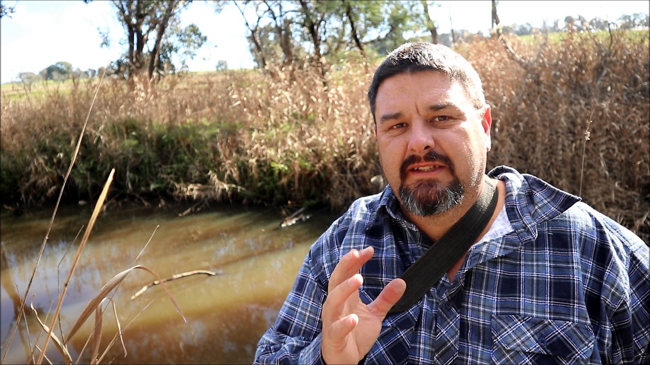 Redfin Perch fishing tips, tricks and pointers on a quiet July day