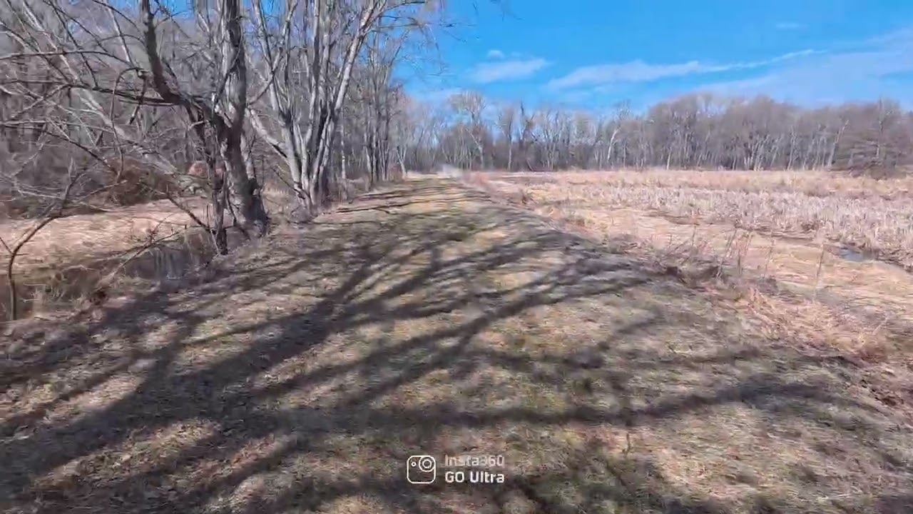 Early spring nature walk, nature sounds 