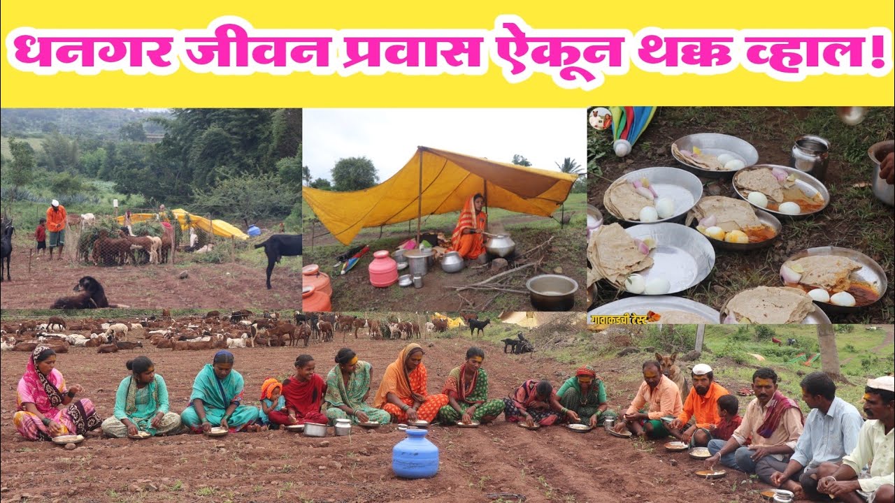 बिऱ्हाड घेऊन 12 ही महीने उन्ह, वारा, पाऊस सहन करणारा धनगरी समाज | मेंढपाळाची व्यथा | धनगरांची कहाणी