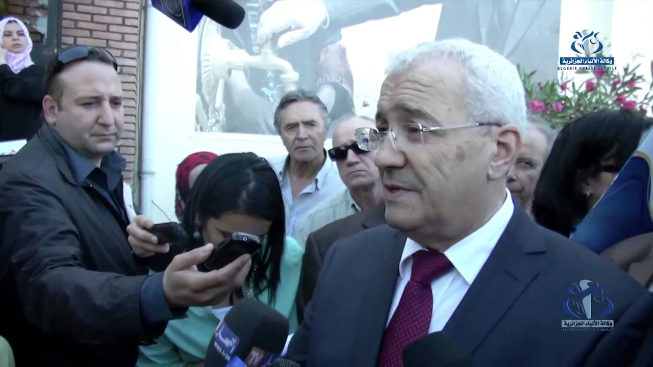 Mohamed Said inaugure l'exposition 