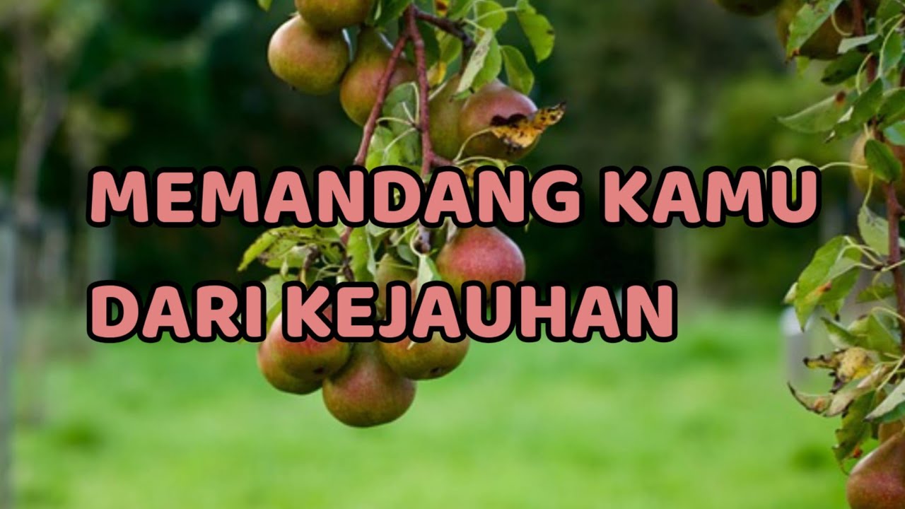 🎆 MEMANDANG KAMU DARI KEJAUHAN 🎆