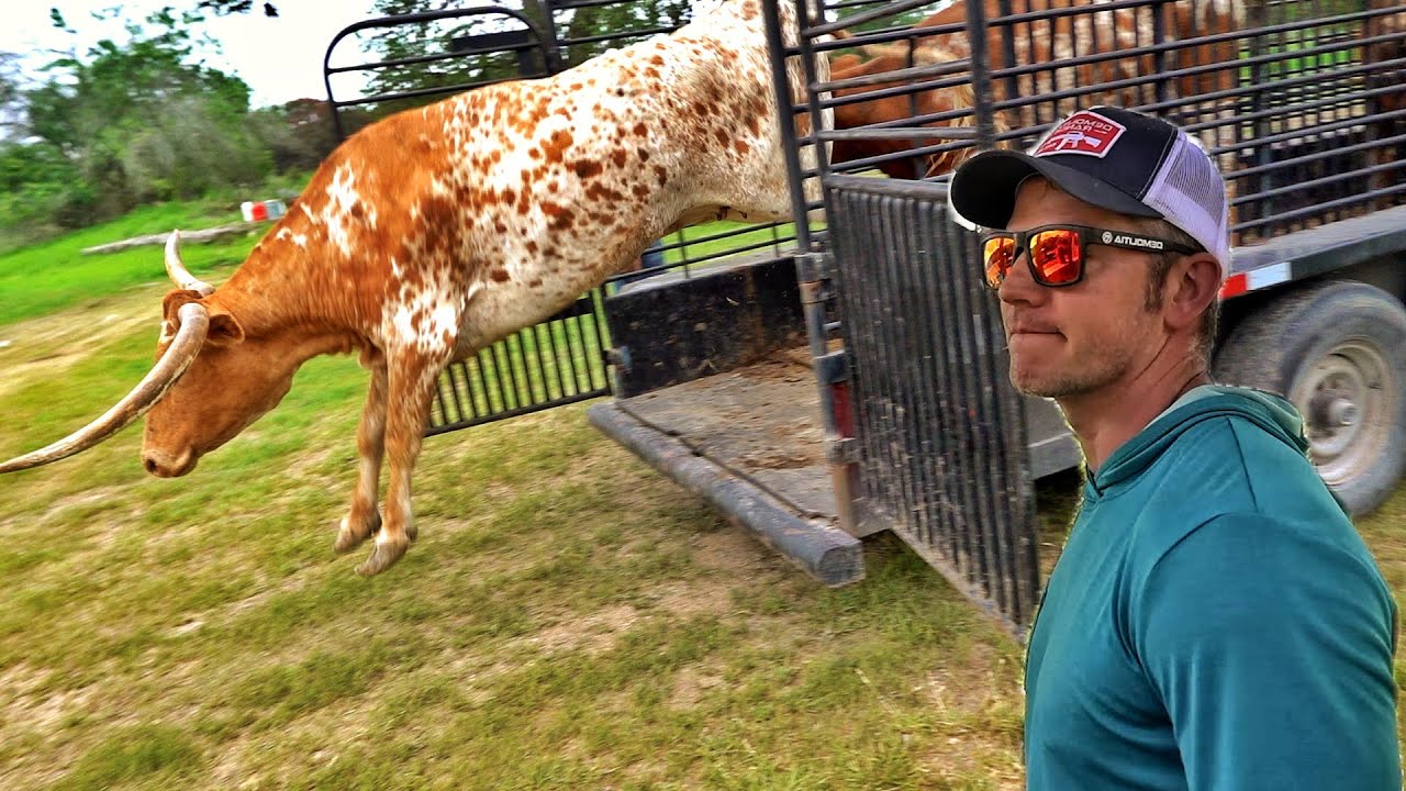 Demolition Ranch НАКОНЕЦ-ТО стало настоящим ранчо...