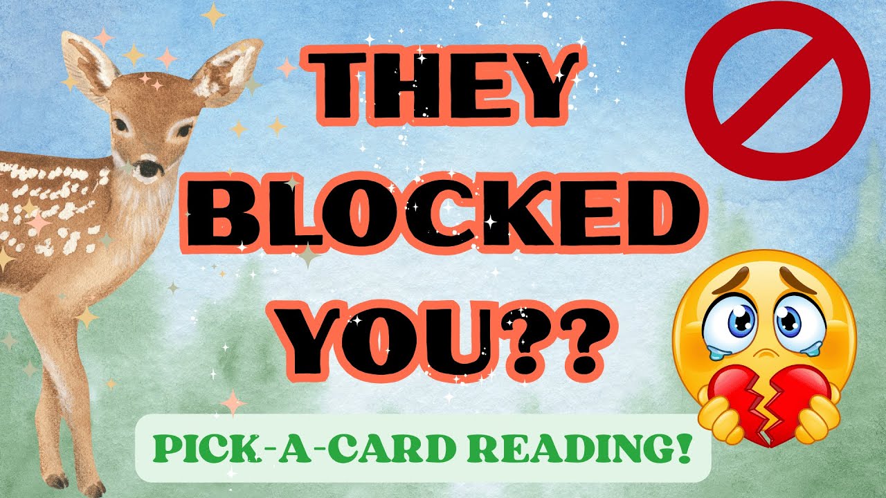 Why Did They BLOCK You?! 🤍🦌 PICK-A-CARD TAROT READING
