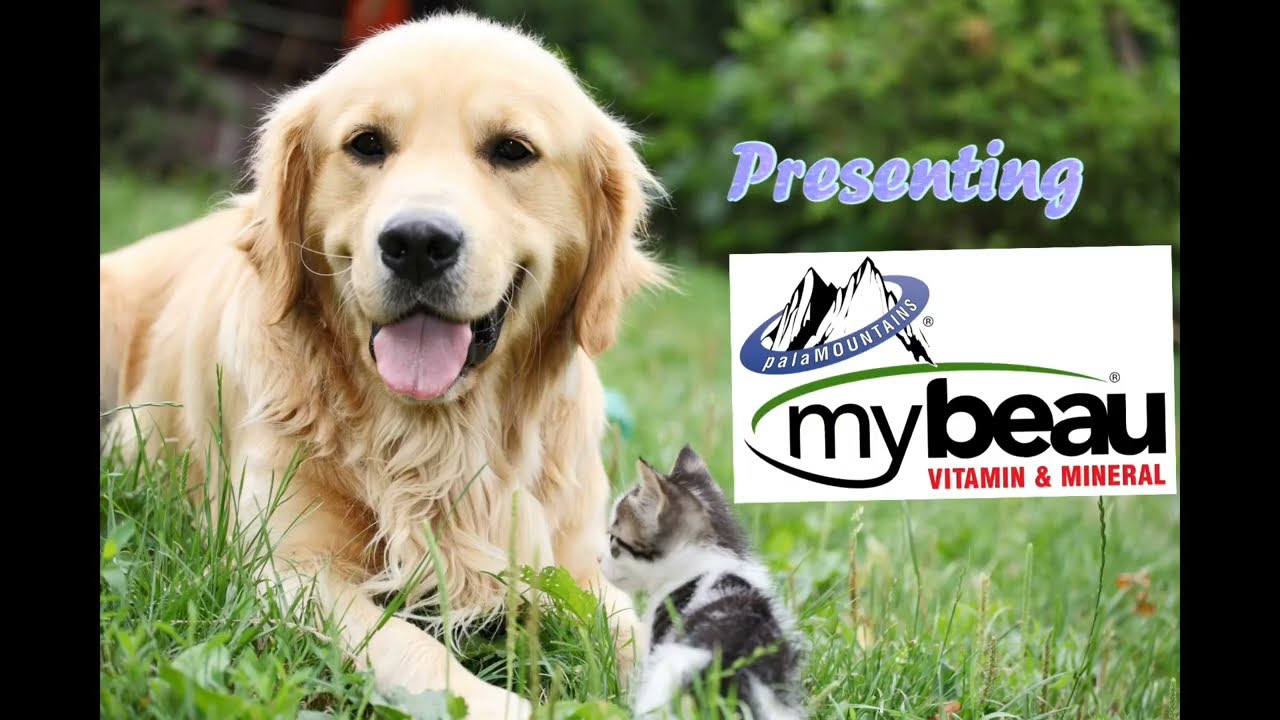 MYBEAU nutritional supplements for Dogs and Cats.