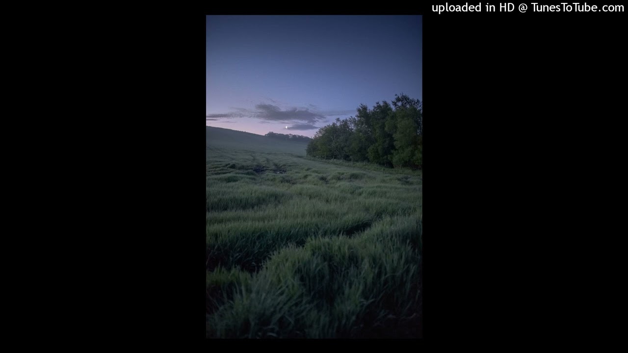 FREE FOR PROFIT EXPERIMENTAL RAP TYPE BEAT