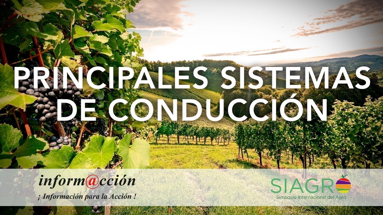 6.1 Principales sistemas de conducción