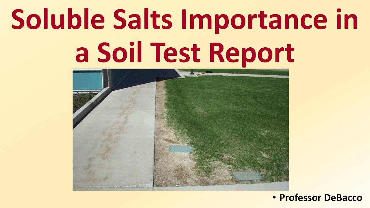 Soluble Salts Importance in a Soil Test Report